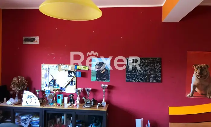 Rexer-Reggio-Calabria-Casa-indipendente-in-vendita-in-Via-per-Armo-a-Reggio-Calabria-Altro