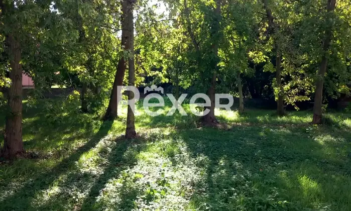 Rexer-Sabbioneta-Casa-indipendente-in-vendita-in-Via-Campo-del-Perdono-a-Sabbioneta-Altro