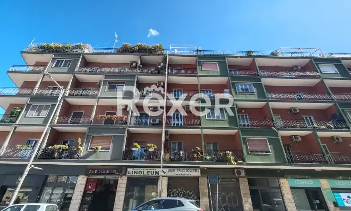 Rexer-Bari-Appartamento-Viale-Salandra-B-Picone-Bari-Altro
