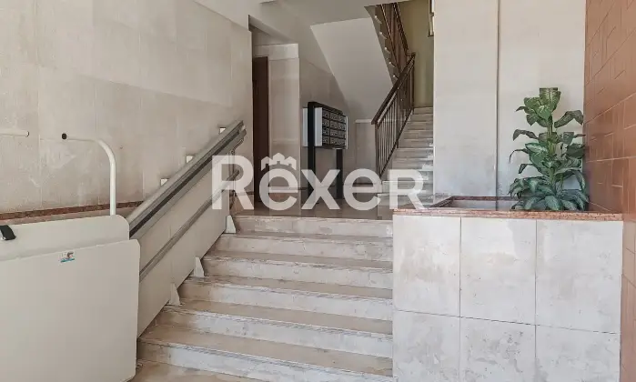 Rexer-Bari-Appartamento-Viale-Salandra-B-Picone-Bari-Altro