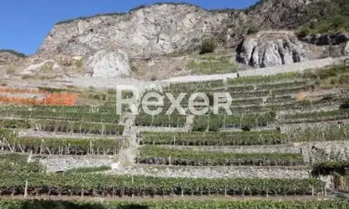 Rexer-Arvier-Appartamento-ristrutturato-e-arredato-con-terrazzo-Arvier-Via-Corrado-Gex-Altro