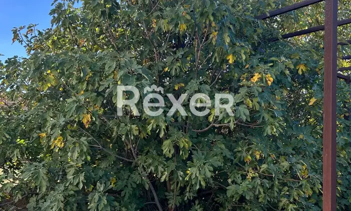 Rexer-San-Massimo-Edificio-residenziale-in-vendita-in-Via-Canonica-a-San-Massimo-Altro