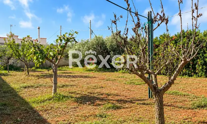 Rexer-Mazara-del-Vallo-Soluzione-residenziale-con-due-abitazioni-indipendenti-Altro