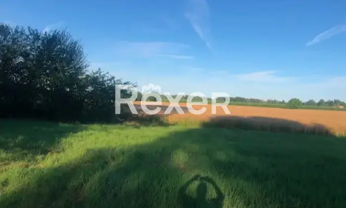 Rexer-Bomporto-RUSTICI-CON-AMPIO-TERRENO-UNOPPORTUNIT-UNICA-A-DUE-PASSI-DA-MODENA-Altro