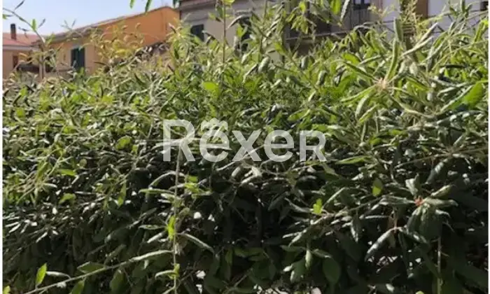 Rexer-Agnone-Edificio-multiuso-in-vendita-in-Via-Giacomo-Matteotti-ad-Agnone-Altro