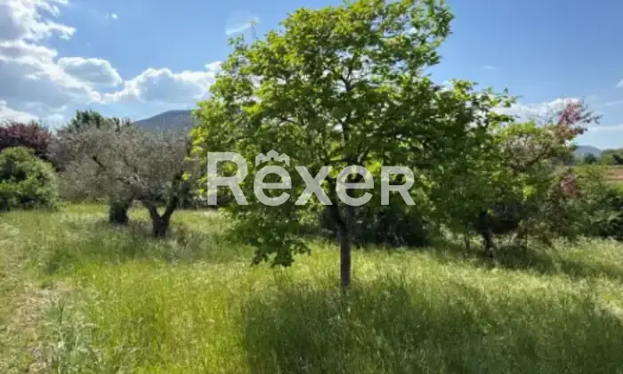 Rexer-Pontecorvo-Casa-indipendente-in-vendita-in-Contrada-Santa-Lucia-a-Pontecorvo-Altro