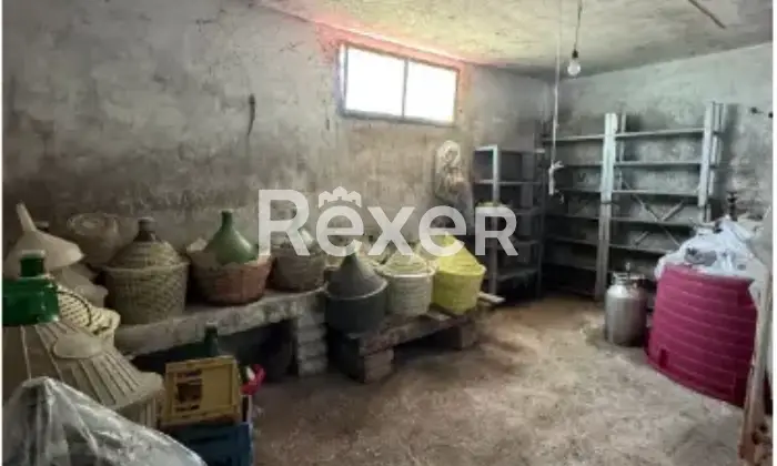 Rexer-Pontecorvo-Casa-indipendente-in-vendita-in-Contrada-Santa-Lucia-a-Pontecorvo-Altro