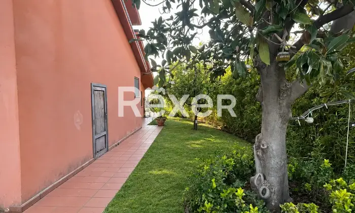 Rexer-Reggio-Calabria-Elegante-villa-indipendente-con-piscina-dependance-e-ampio-giardino-a-Reggio-Calabria-Altro