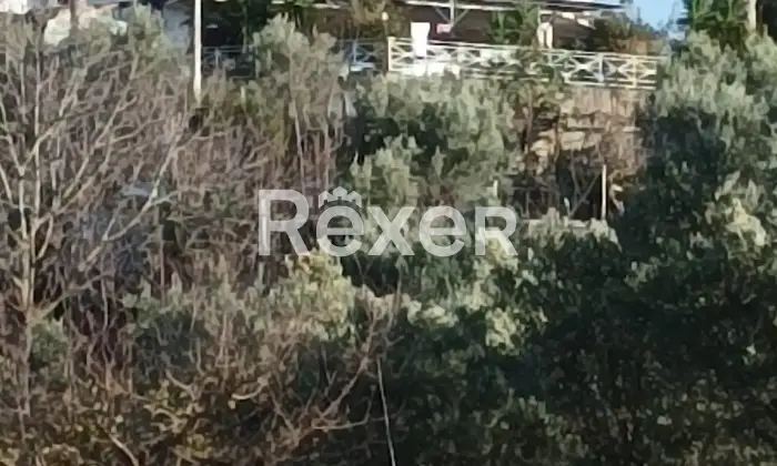 Rexer-Cosenza-Villa-in-vendita-in-Contrada-Mussano-a-Cosenza-Altro
