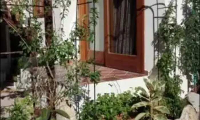 Rexer-Tempio-Pausania-Affittasi-alloggio-in-Sardegna-mesi-estivi-ALTRO