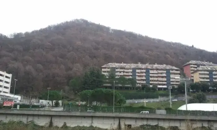 Rexer-Genova-Ampio-appartamento-con-terrazzo-vivibile-ALTRO