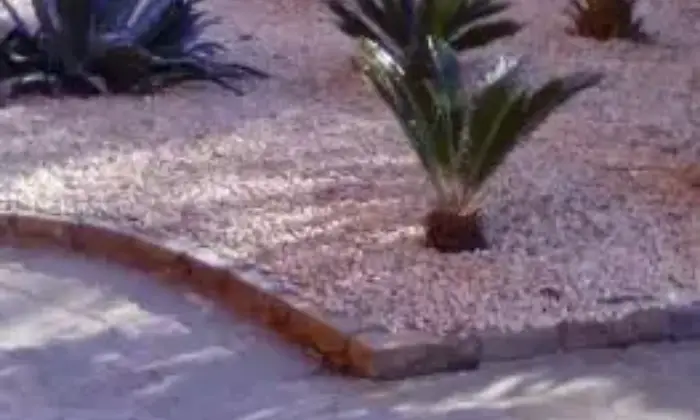 Rexer-Giugliano-in-Campania-Bilocale-arredato-in-residence-GIARDINO