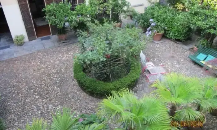 Rexer-Oleggio-Particolare-casa-indipendente-GIARDINO