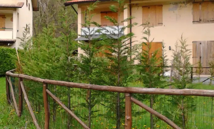 Rexer-Cutigliano-Monolocale-con-Giardino-e-zona-a-verde-recintata-mq-ALTRO